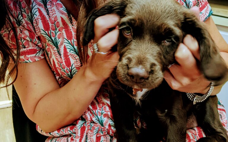 Gemma cuddling a brown puppy dog